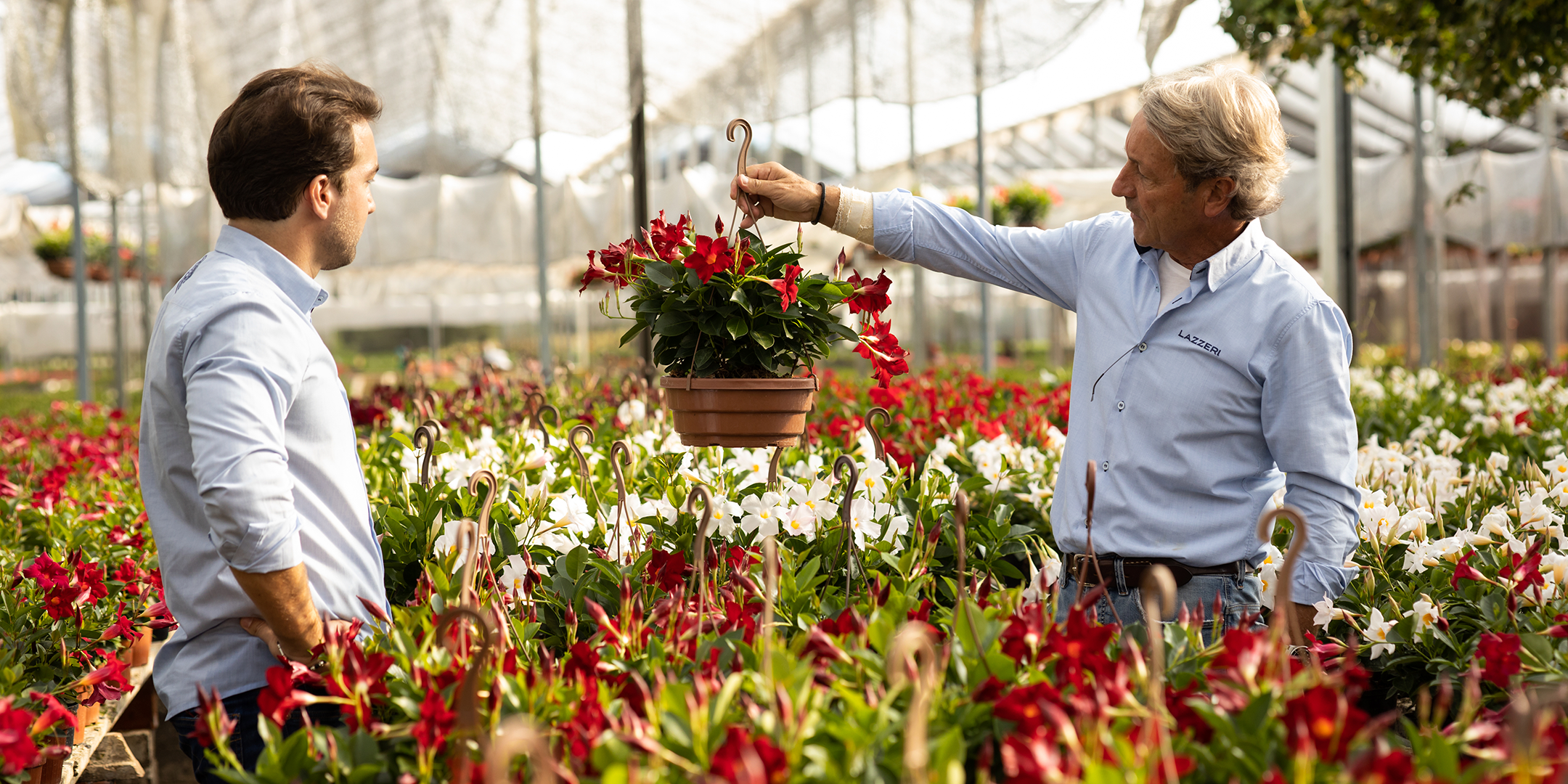 - A história da Lazzeri é baseada em valores sólidos, passando por gerações, e reflete a coragem de inovar e fazer a diferença.