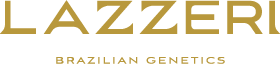 Lazzeri Gestao de Ativos Ltda